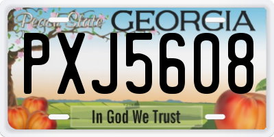 GA license plate PXJ5608