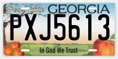 GA license plate PXJ5613