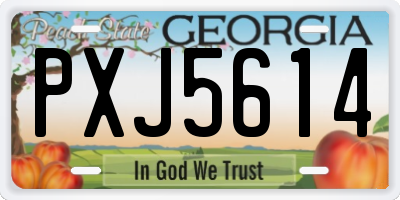 GA license plate PXJ5614