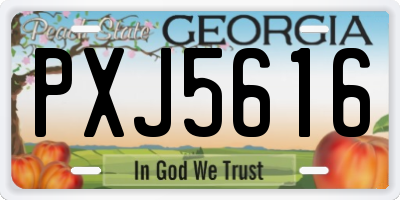 GA license plate PXJ5616