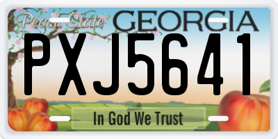 GA license plate PXJ5641