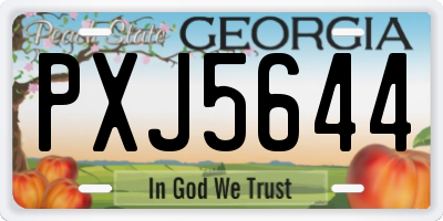 GA license plate PXJ5644
