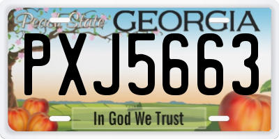 GA license plate PXJ5663