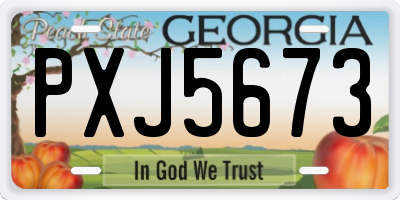 GA license plate PXJ5673