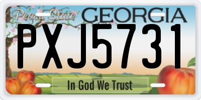 GA license plate PXJ5731