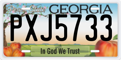 GA license plate PXJ5733