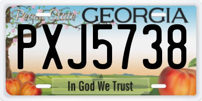 GA license plate PXJ5738