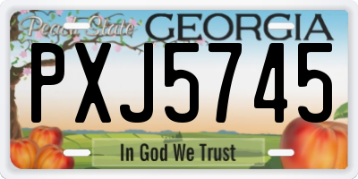 GA license plate PXJ5745