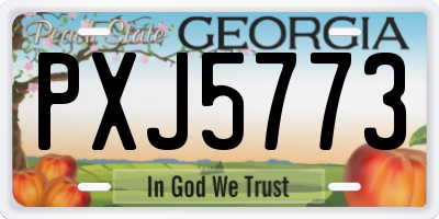 GA license plate PXJ5773