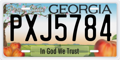 GA license plate PXJ5784