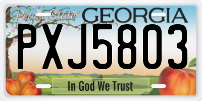 GA license plate PXJ5803