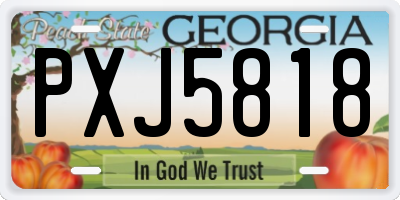 GA license plate PXJ5818