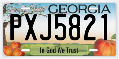 GA license plate PXJ5821