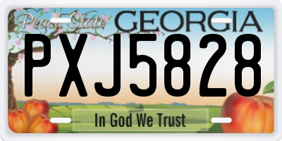 GA license plate PXJ5828