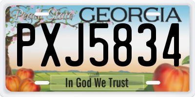 GA license plate PXJ5834