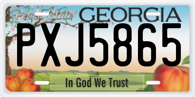 GA license plate PXJ5865