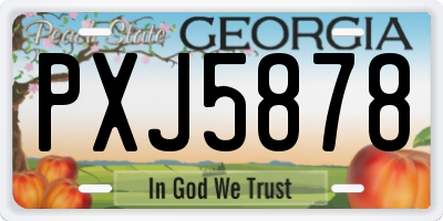 GA license plate PXJ5878