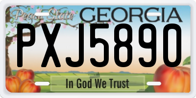 GA license plate PXJ5890