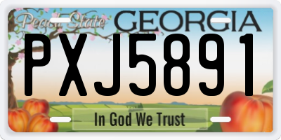 GA license plate PXJ5891