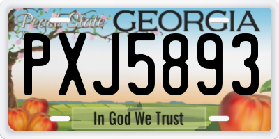 GA license plate PXJ5893
