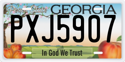 GA license plate PXJ5907