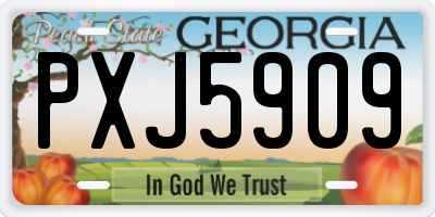GA license plate PXJ5909