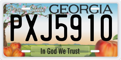 GA license plate PXJ5910