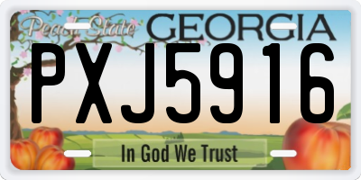 GA license plate PXJ5916