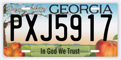 GA license plate PXJ5917