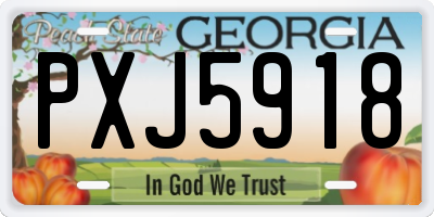 GA license plate PXJ5918