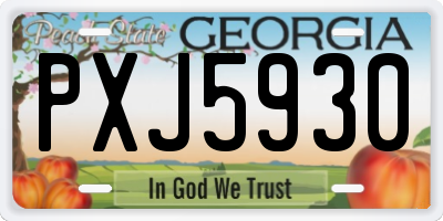 GA license plate PXJ5930