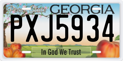 GA license plate PXJ5934