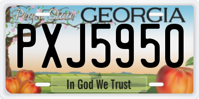 GA license plate PXJ5950