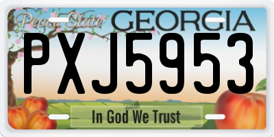 GA license plate PXJ5953