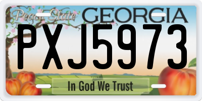 GA license plate PXJ5973