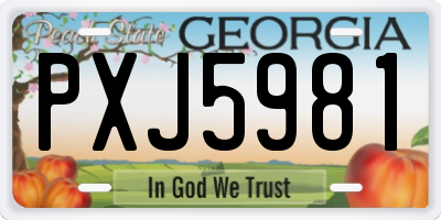 GA license plate PXJ5981