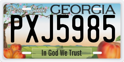 GA license plate PXJ5985
