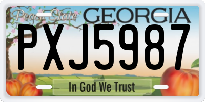 GA license plate PXJ5987