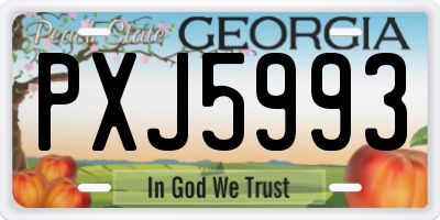 GA license plate PXJ5993