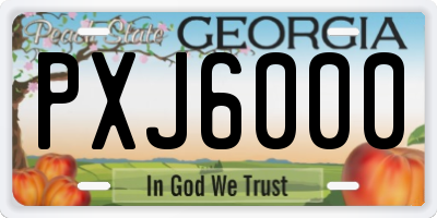GA license plate PXJ6000