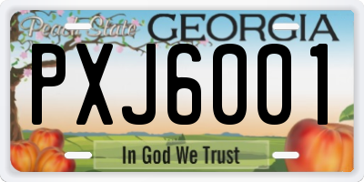 GA license plate PXJ6001