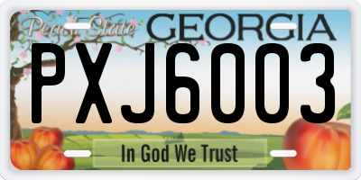 GA license plate PXJ6003