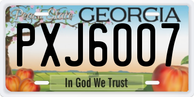 GA license plate PXJ6007