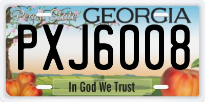 GA license plate PXJ6008