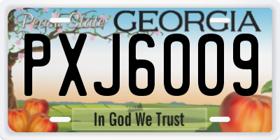 GA license plate PXJ6009