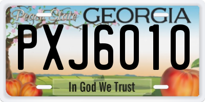 GA license plate PXJ6010
