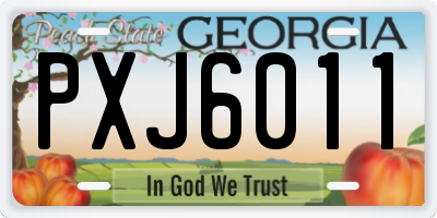 GA license plate PXJ6011