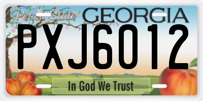 GA license plate PXJ6012