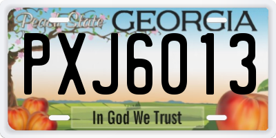 GA license plate PXJ6013
