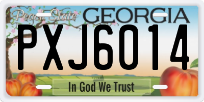 GA license plate PXJ6014